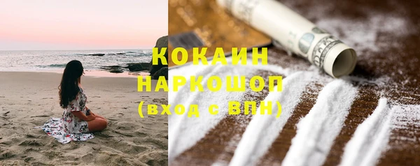 прущие грибы Тихвин
