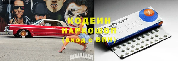 ГАЛЛЮЦИНОГЕННЫЕ ГРИБЫ Семёнов