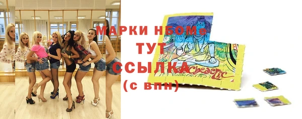 прущие грибы Тихвин