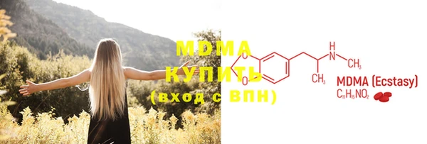 прущие грибы Тихвин
