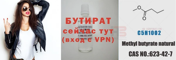 прущие грибы Тихвин