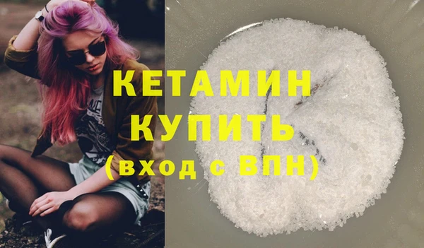 прущие грибы Тихвин