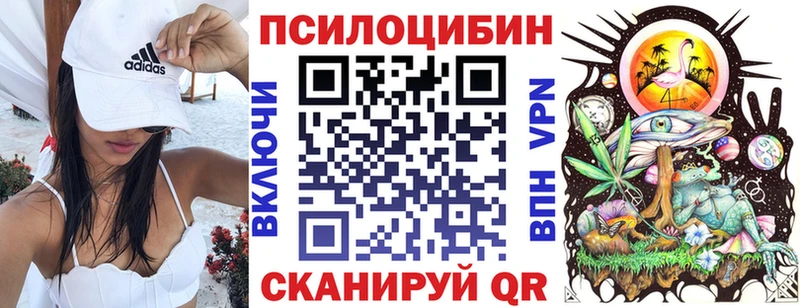 Псилоцибиновые грибы GOLDEN TEACHER  OMG онион  Томари 